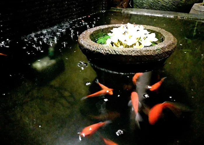 Dong Jegeg Guest house 4*